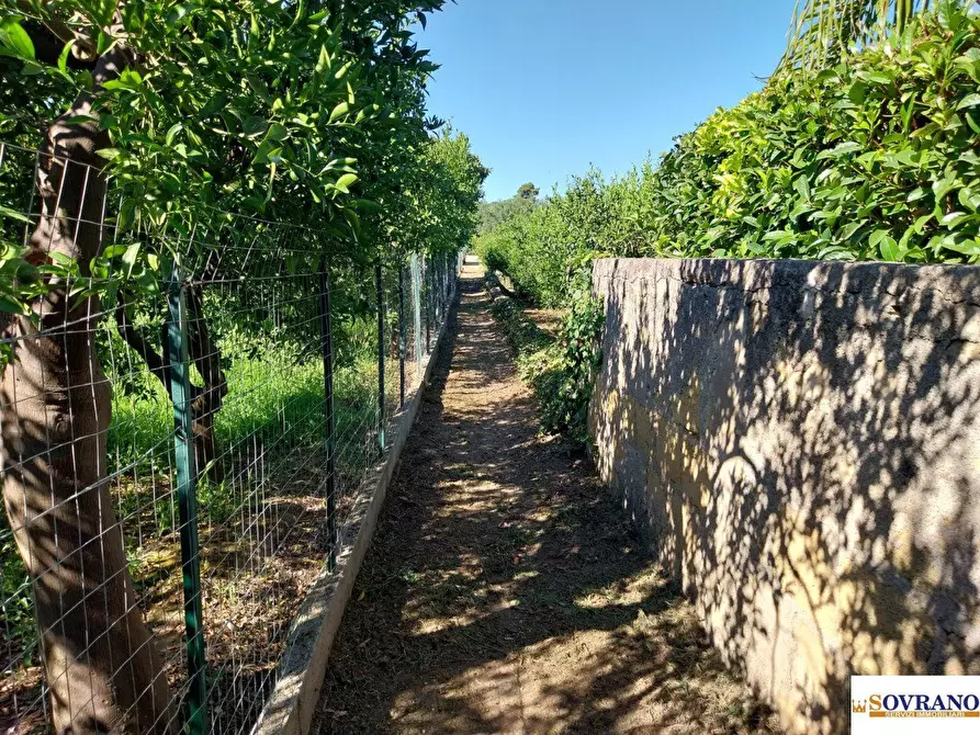 Immagine 4 di Terreno in vendita  40 a Palermo