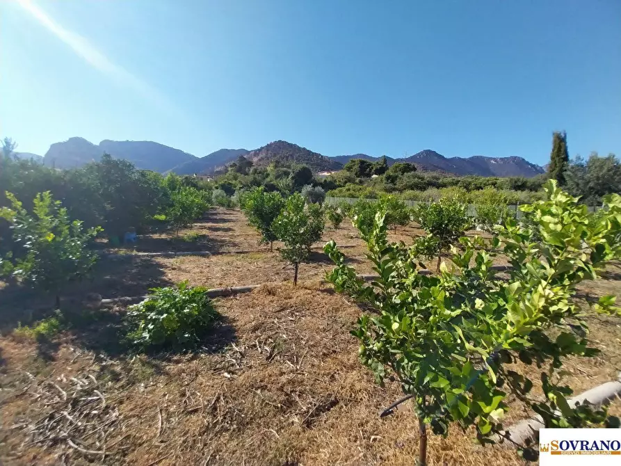 Immagine 6 di Terreno in vendita  40 a Palermo