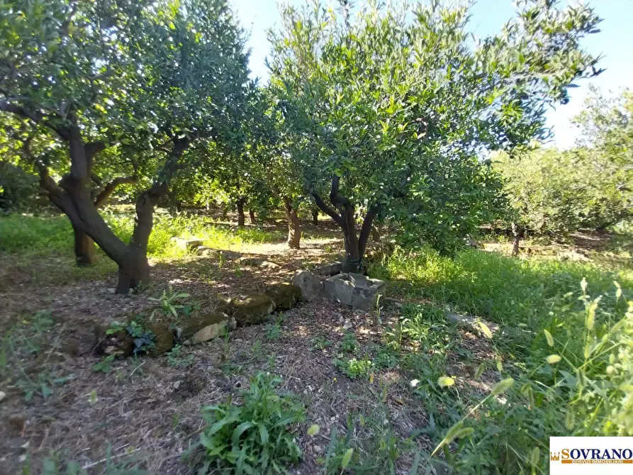 Immagine 7 di Terreno in vendita  40 a Palermo