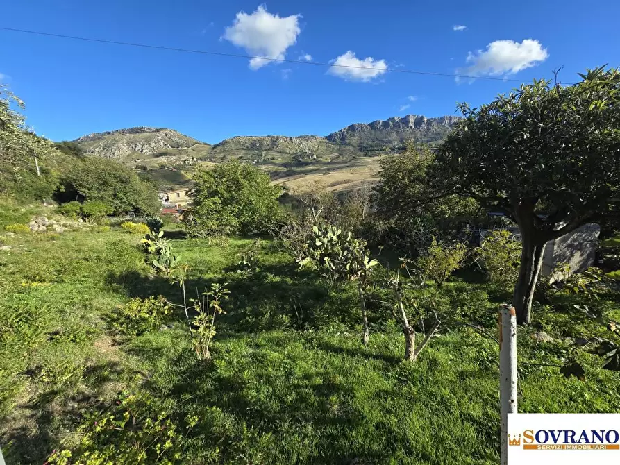 Immagine 5 di Terreno in vendita  a Monreale