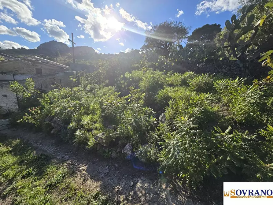 Immagine 3 di Terreno in vendita  a Monreale