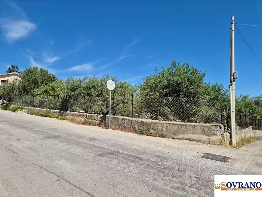 Immagine 4 di Terreno in vendita  a Carini