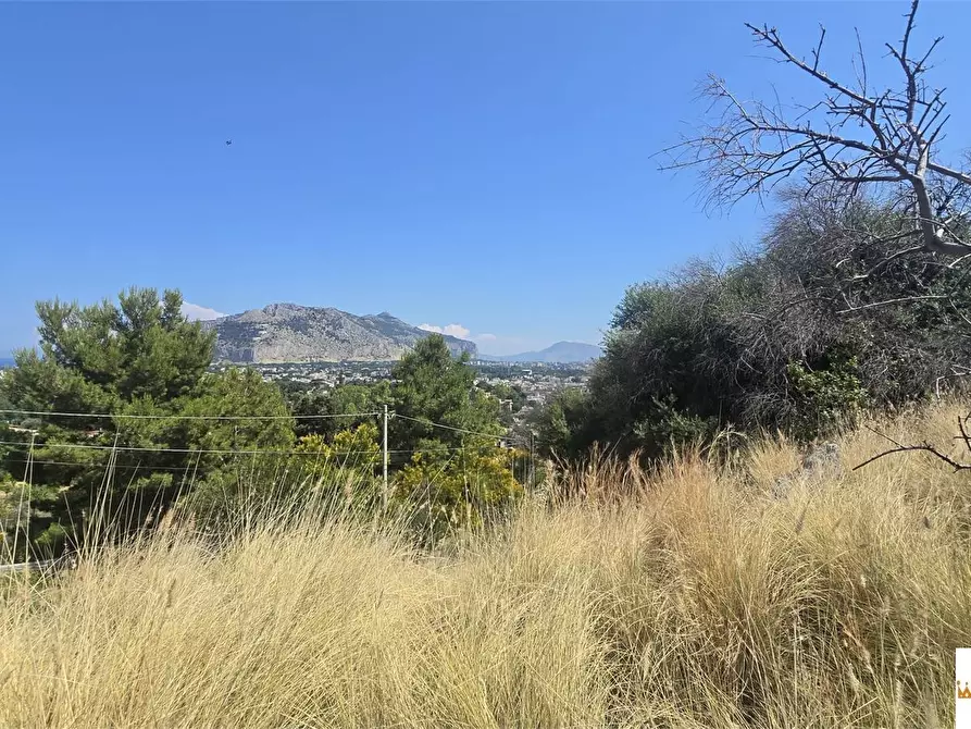 Immagine 5 di Terreno in vendita  a Palermo