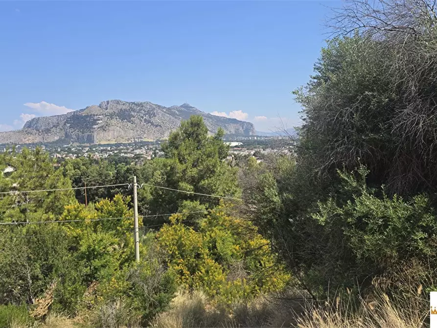 Immagine 10 di Terreno in vendita  a Palermo