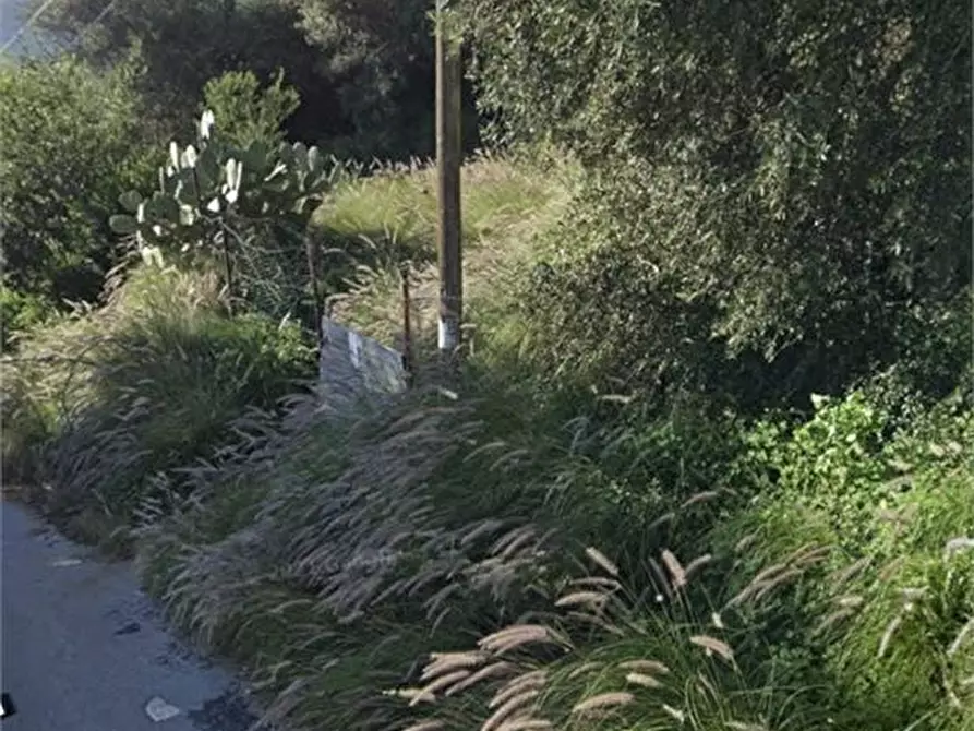 Immagine 1 di Terreno in vendita  a Palermo