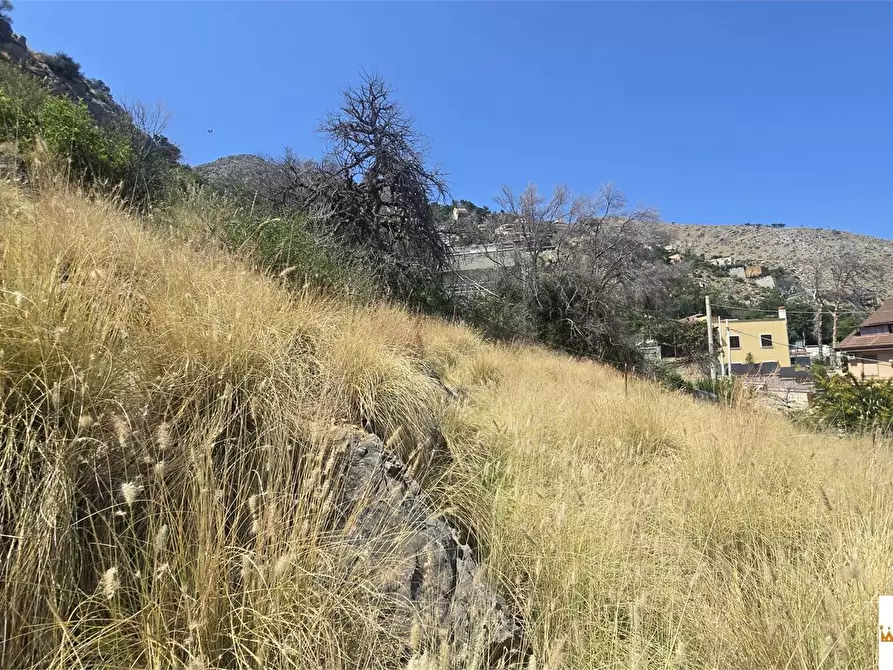 Immagine 9 di Terreno in vendita  a Palermo