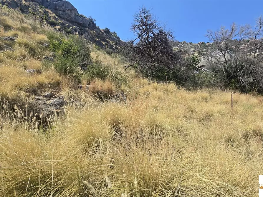 Immagine 4 di Terreno in vendita  a Palermo