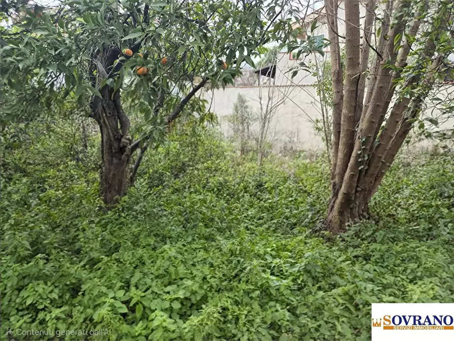 Immagine 5 di Terreno edificabile in vendita  a Palermo