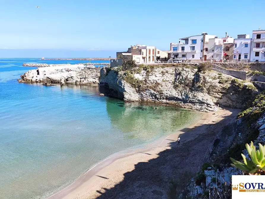 Immagine 1 di Villa in vendita  a Terrasini