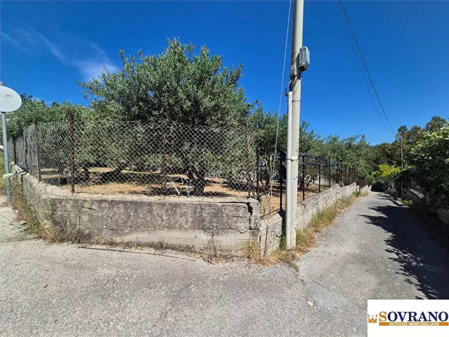 Immagine 3 di Villa in vendita  a Carini