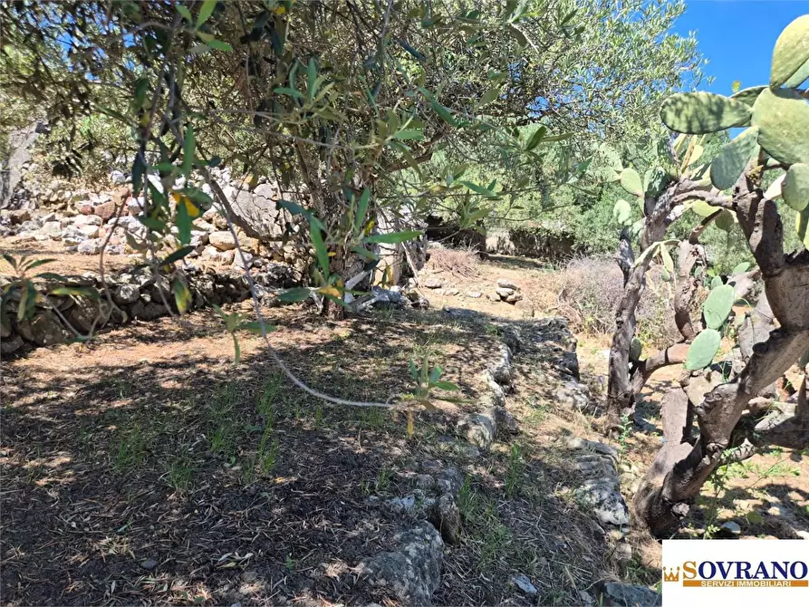 Immagine 6 di Villa in vendita  a Carini