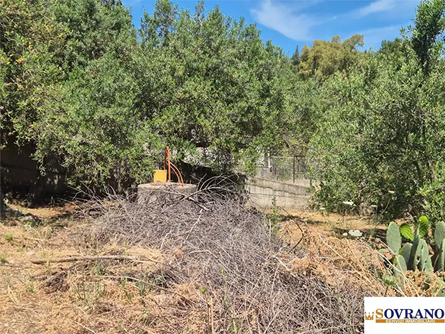 Immagine 7 di Villa in vendita  a Carini