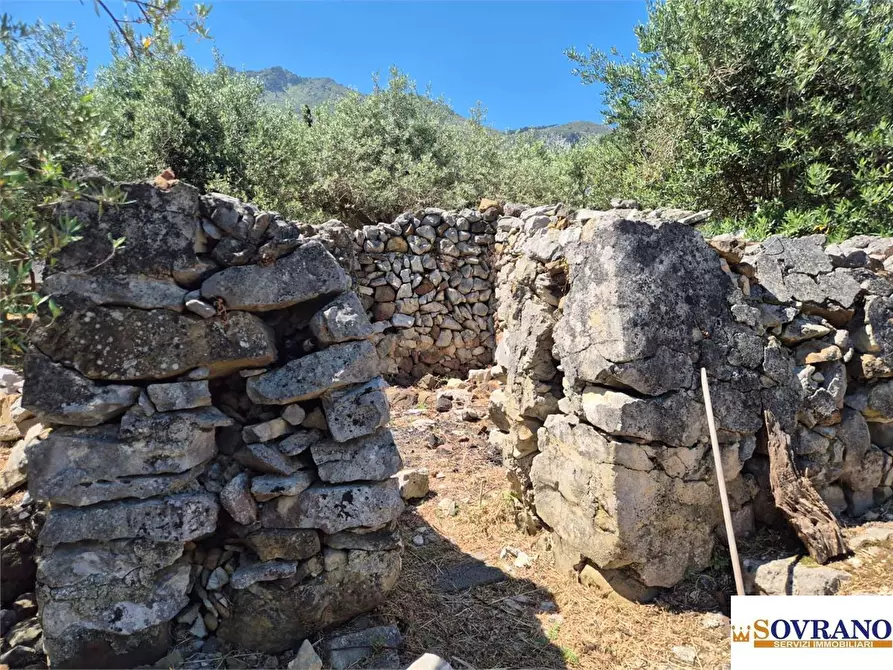 Immagine 10 di Villa in vendita  a Carini