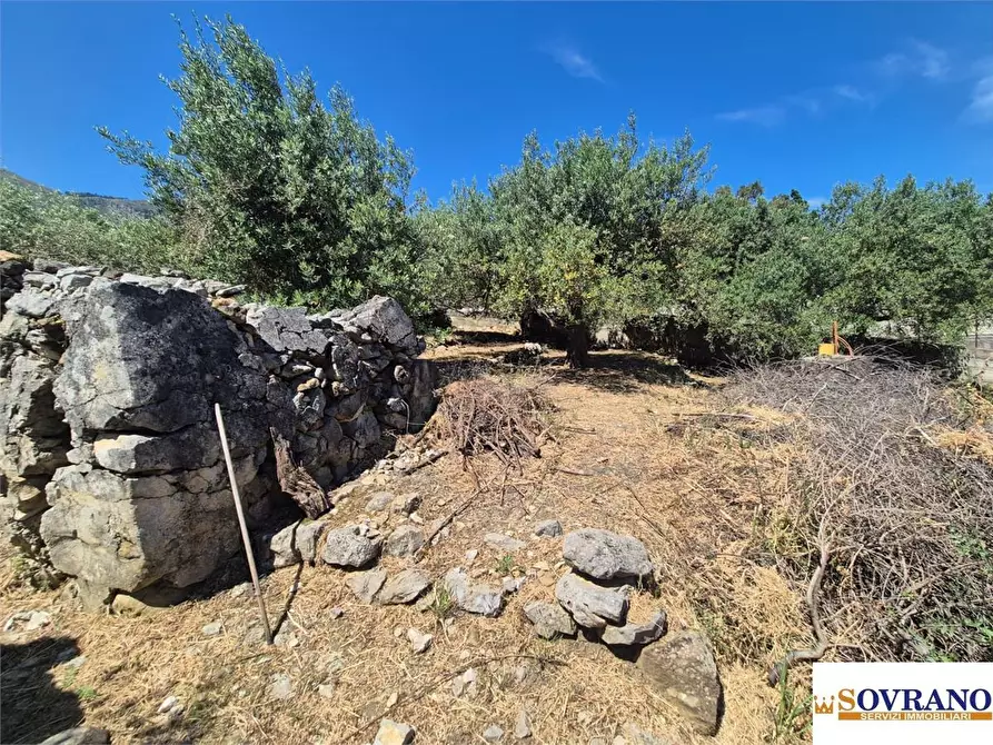 Immagine 5 di Villa in vendita  a Carini
