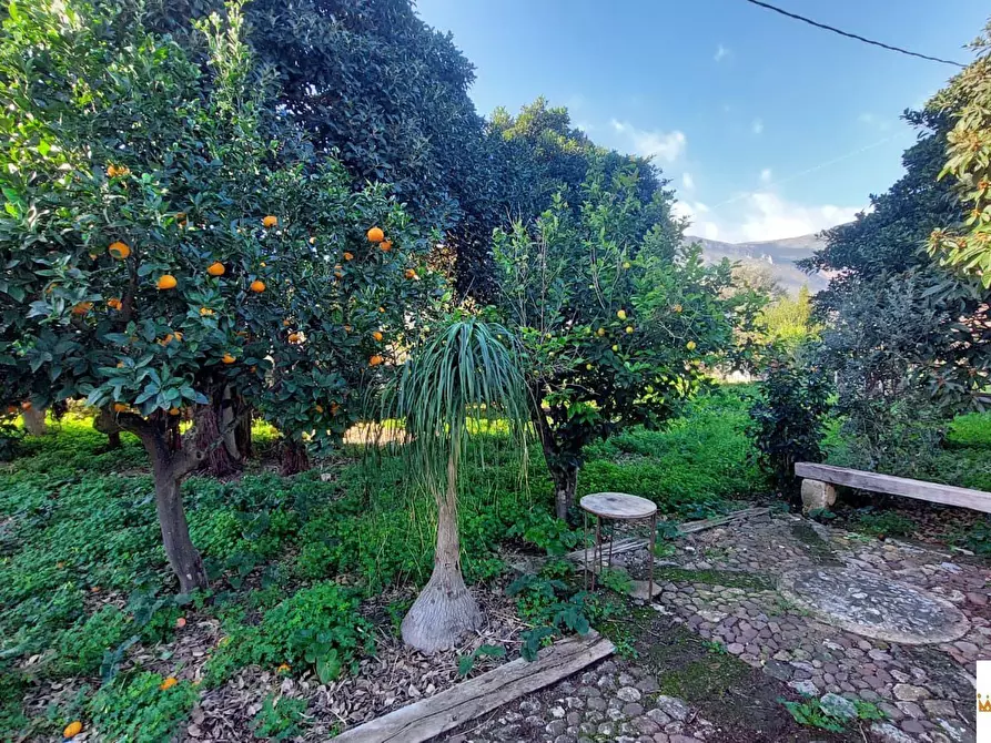 Immagine 8 di Villa in vendita  a Carini
