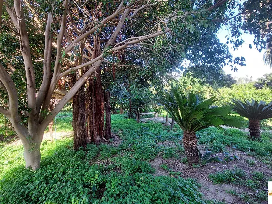 Immagine 10 di Villa in vendita  a Carini