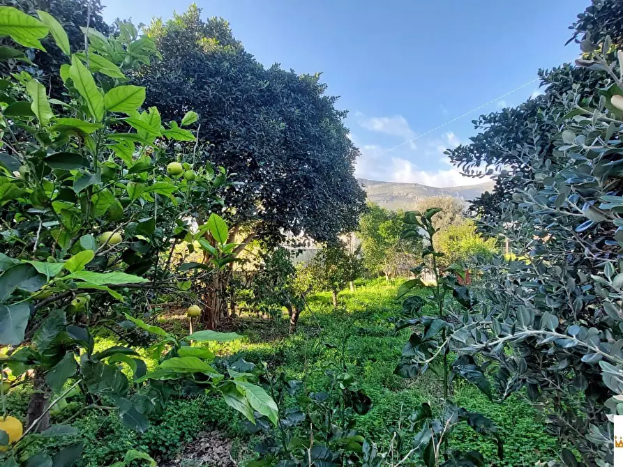 Immagine 7 di Villa in vendita  a Carini