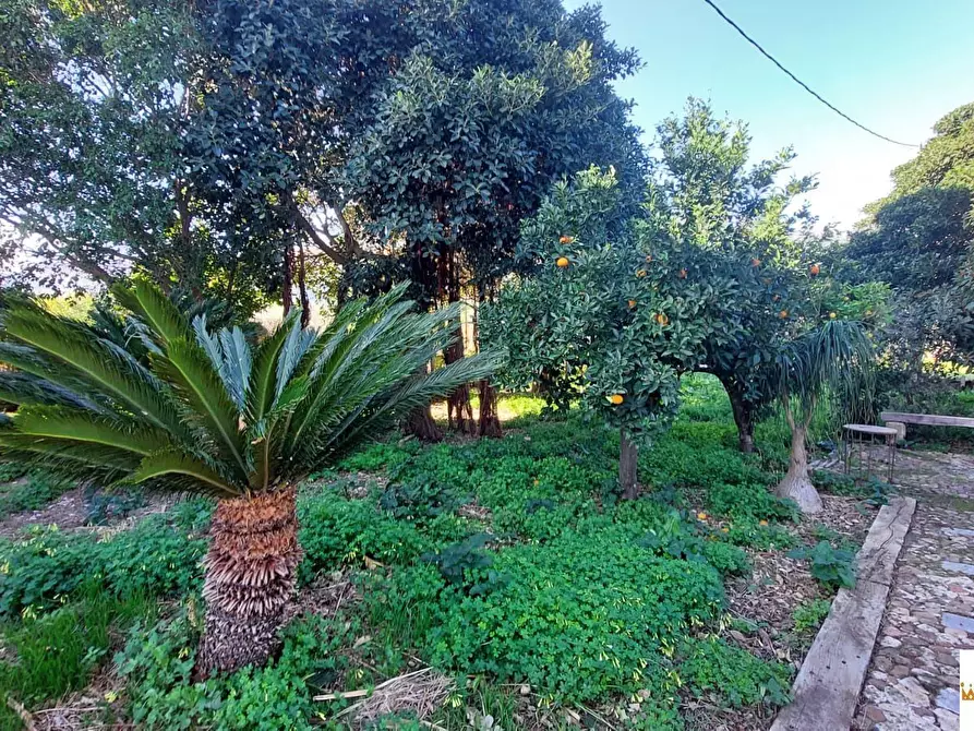 Immagine 9 di Villa in vendita  a Carini