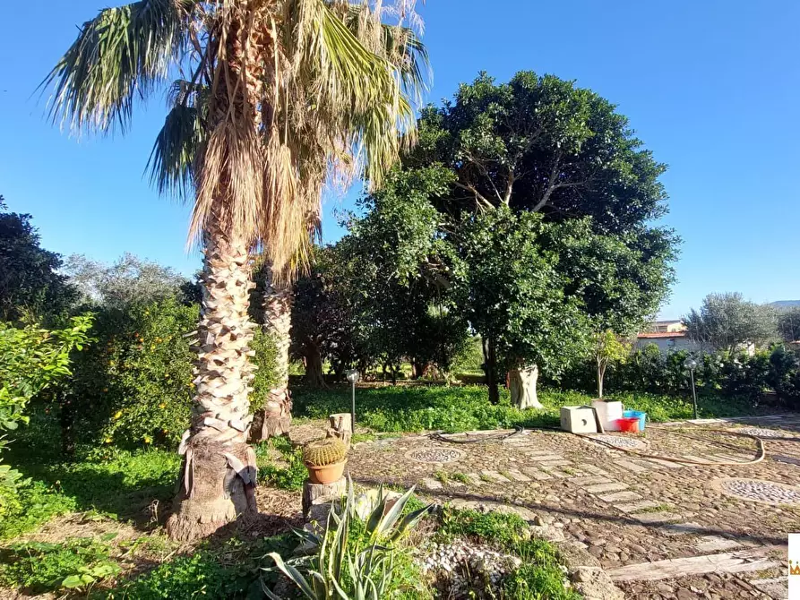 Immagine 6 di Villa in vendita  a Carini