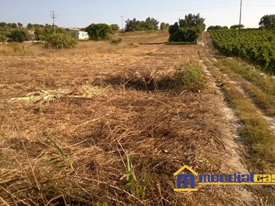 Immagine 3 di Terreno in vendita  a Pachino