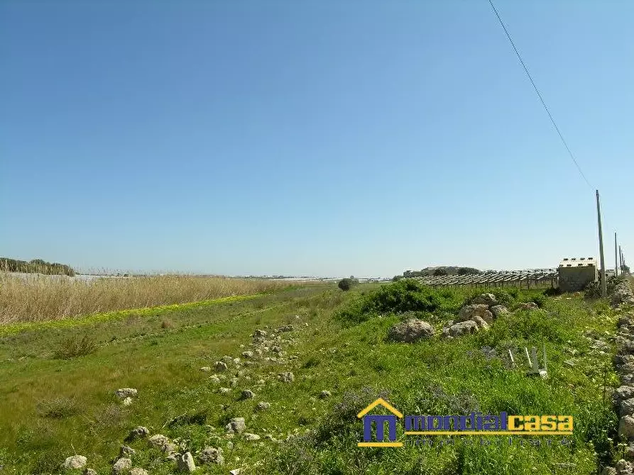 Immagine 4 di Terreno in vendita  a Pachino