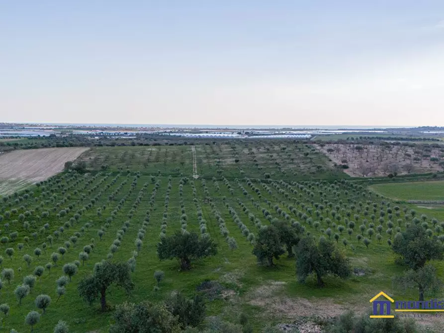 Immagine 1 di Terreno in vendita  a Noto