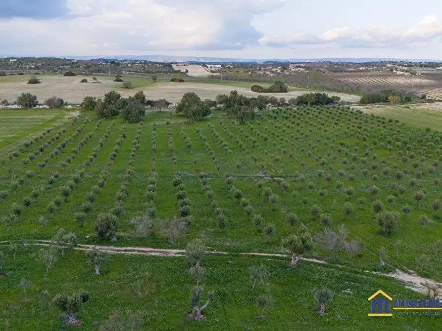 Immagine 2 di Terreno in vendita  a Noto