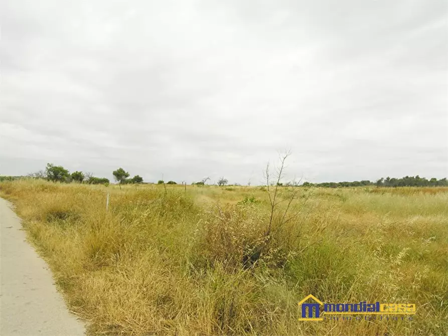 Immagine 4 di Terreno in vendita  a Noto