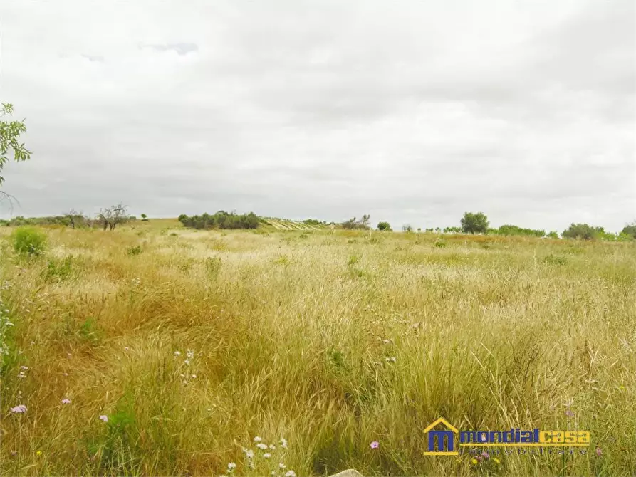 Immagine 3 di Terreno in vendita  a Noto