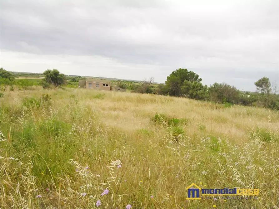 Immagine 5 di Terreno in vendita  a Noto