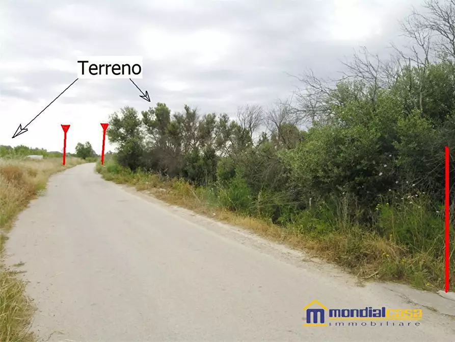 Immagine 1 di Terreno in vendita  a Noto