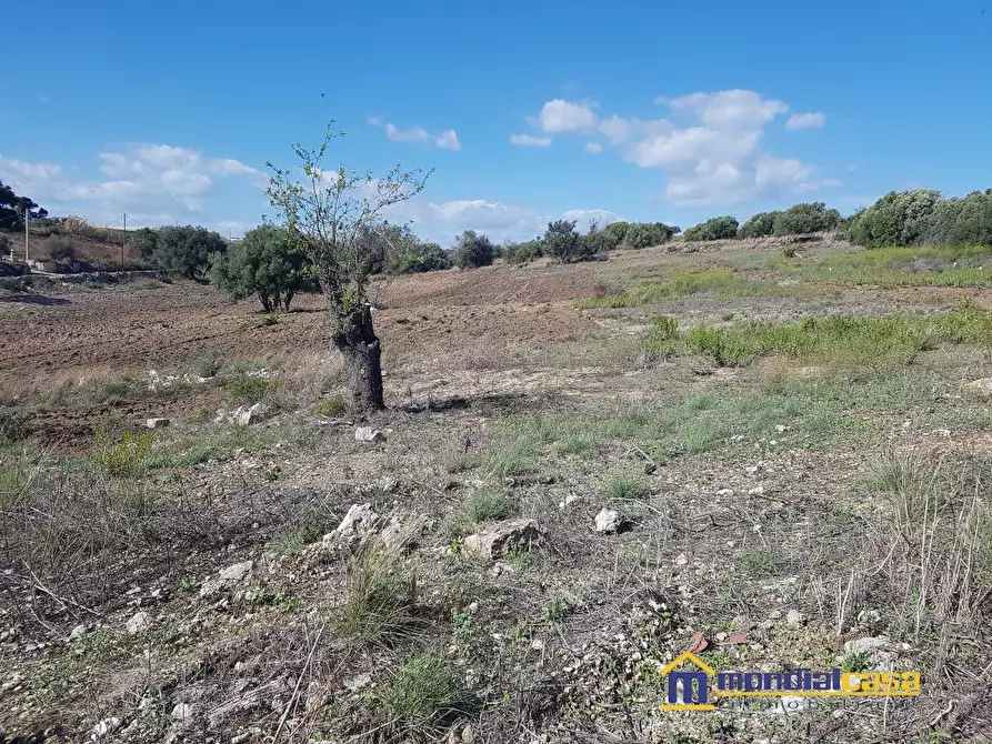 Immagine 6 di Terreno in vendita  a Pachino