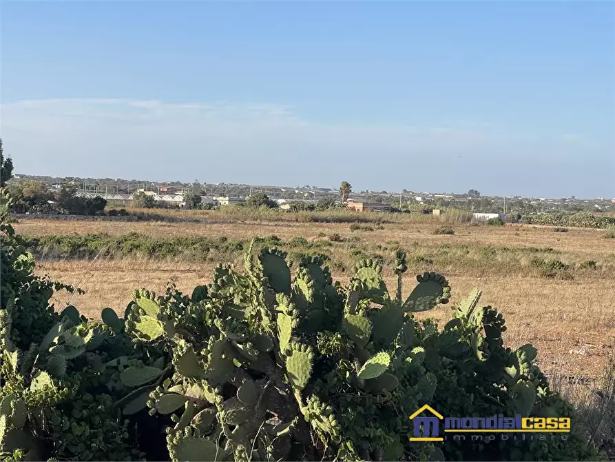 Immagine 3 di Terreno in vendita  a Portopalo Di Capo Passero