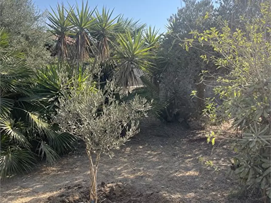 Immagine 3 di Villa in vendita  a Portopalo Di Capo Passero
