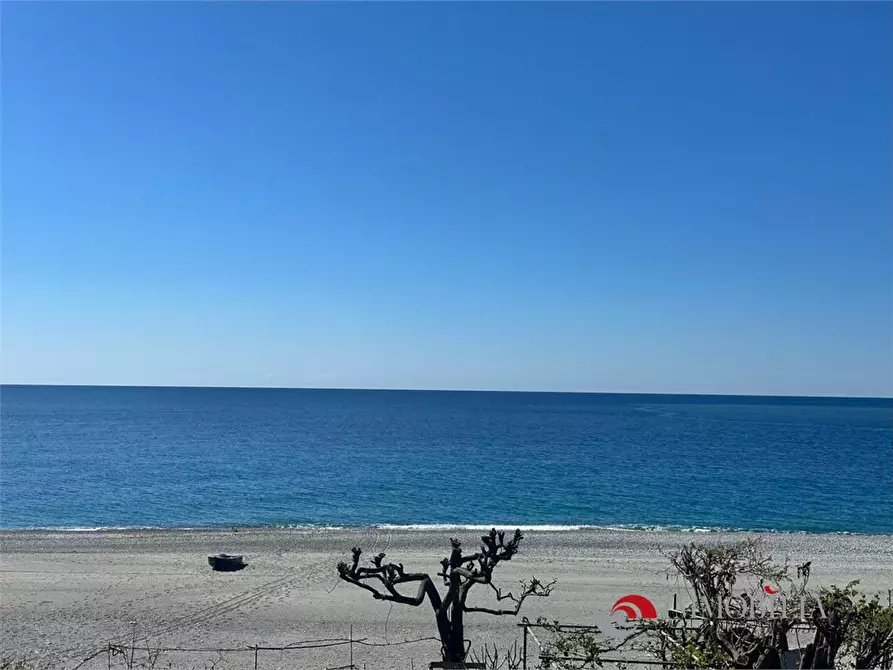 Immagine 3 di Appartamento in affitto  36 a San Lorenzo