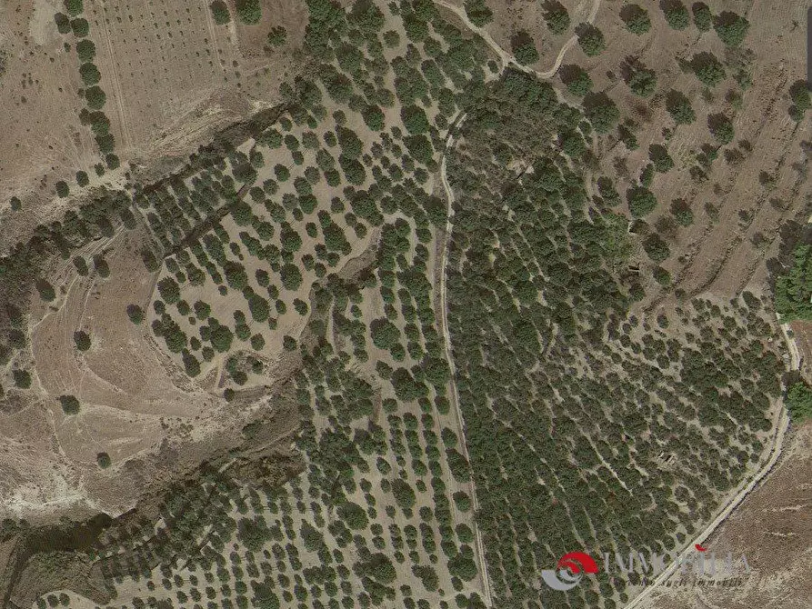 Immagine 1 di Negozio in vendita  a Melito Di Porto Salvo