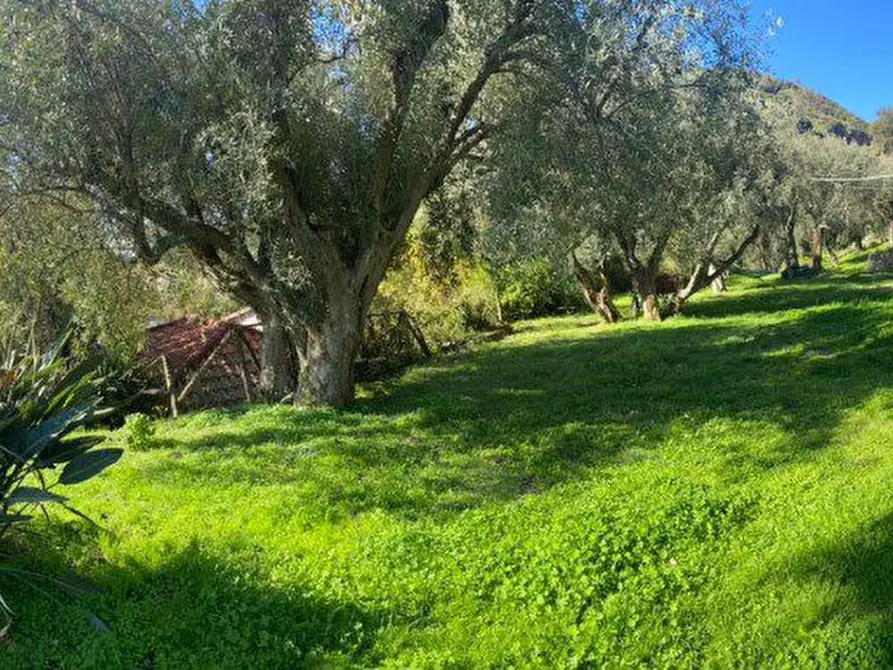Immagine 2 di Rustico / casale in vendita  a San Lorenzo