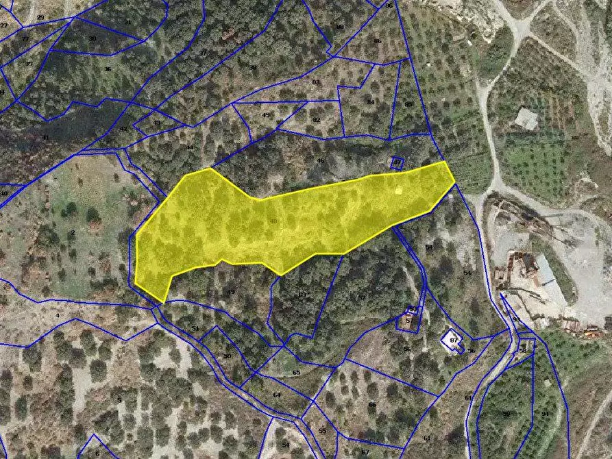Immagine 1 di Terreno edificabile in vendita  a Bagaladi