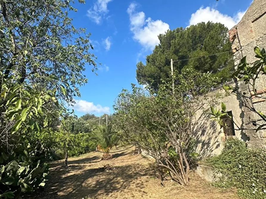 Immagine 4 di Terreno edificabile in vendita  a Melito Di Porto Salvo