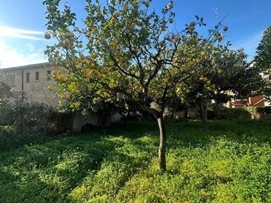 Immagine 4 di Villa in vendita  a Melito Di Porto Salvo