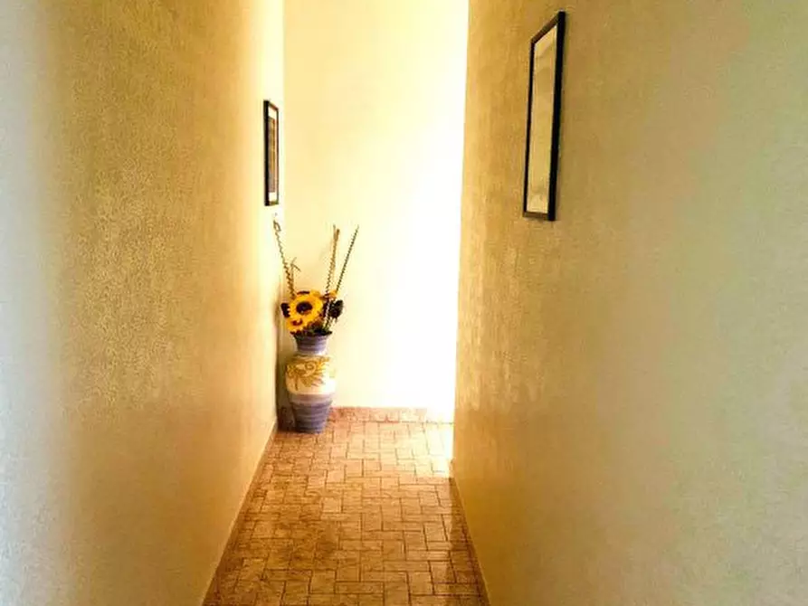 Immagine 6 di Appartamento in vendita  a Capurso