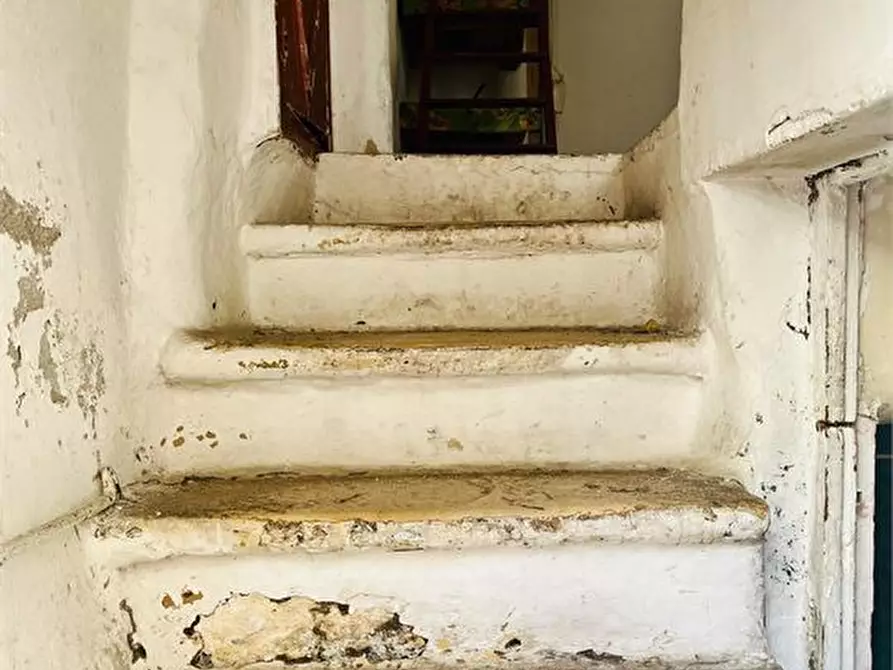 Immagine 9 di Casa indipendente in vendita  a Capurso