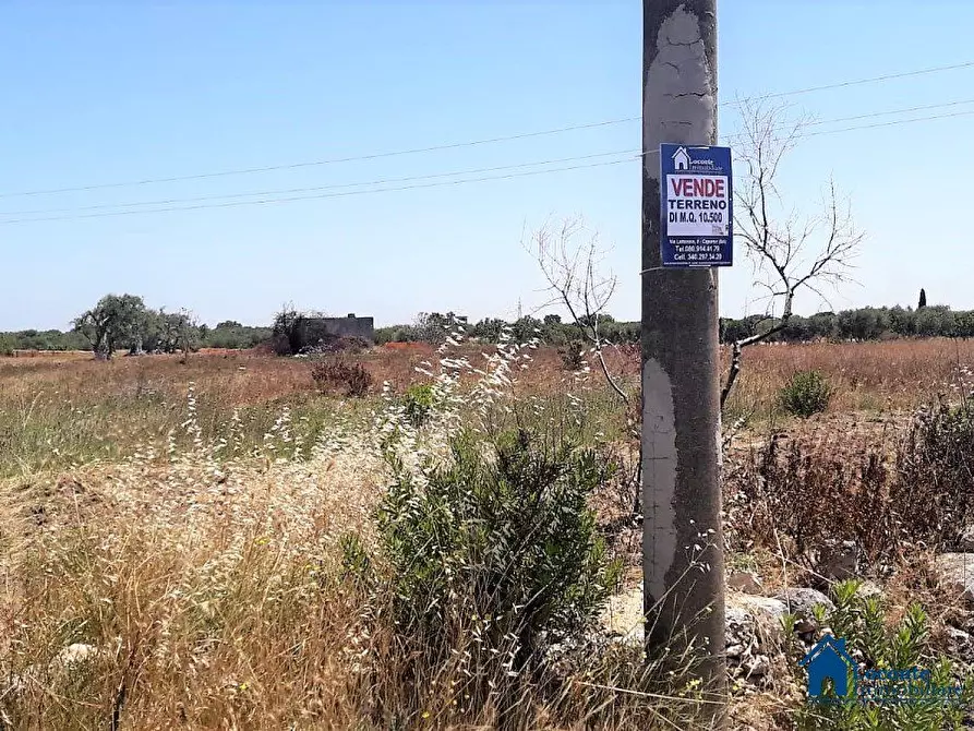 Immagine 3 di Terreno edificabile in vendita  a Bari