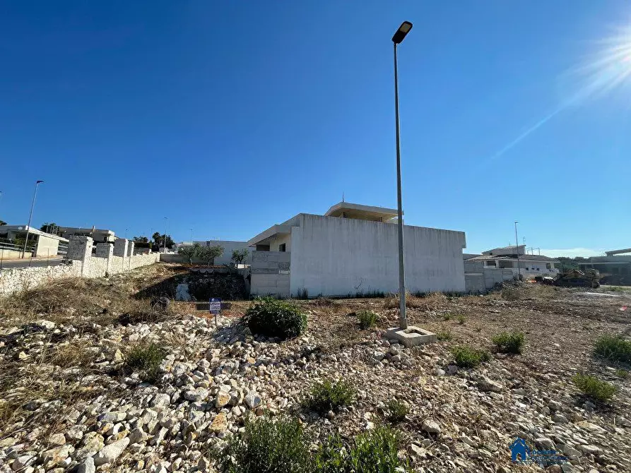 Immagine 2 di Terreno edificabile in vendita  a Cellamare