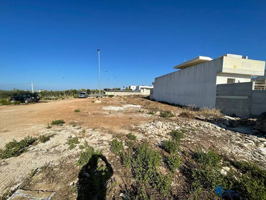 Immagine 5 di Terreno edificabile in vendita  a Cellamare