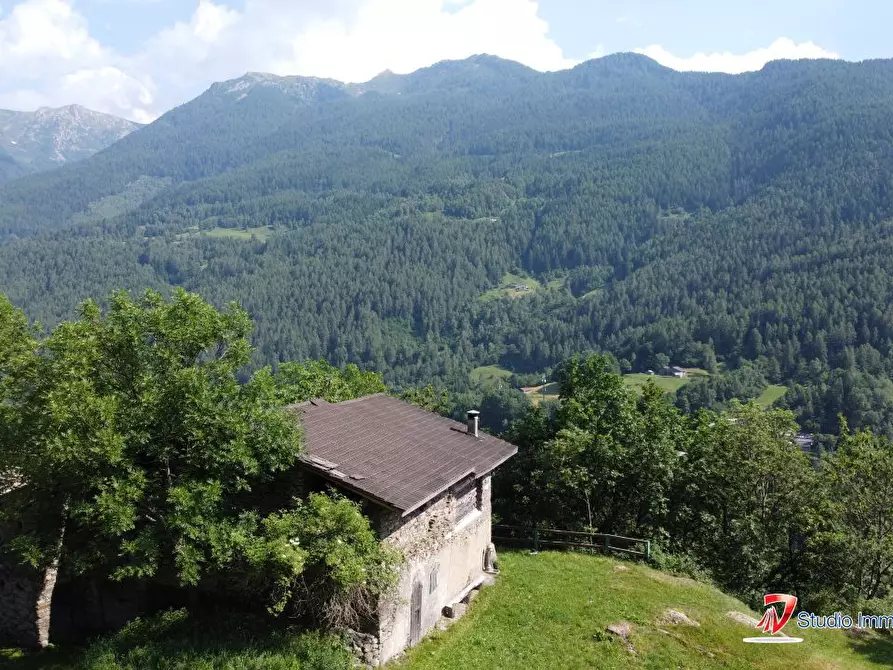 Immagine 7 di Rustico / casale in vendita  a Corteno Golgi