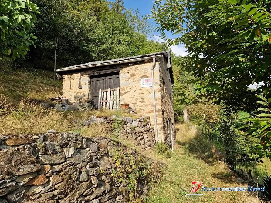 Immagine 2 di Rustico / casale in vendita  a Berzo Demo