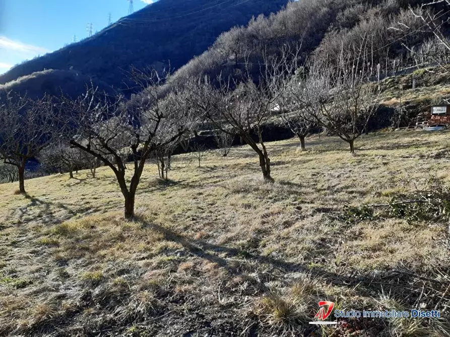 Immagine 2 di Terreno edificabile in vendita  a Losine