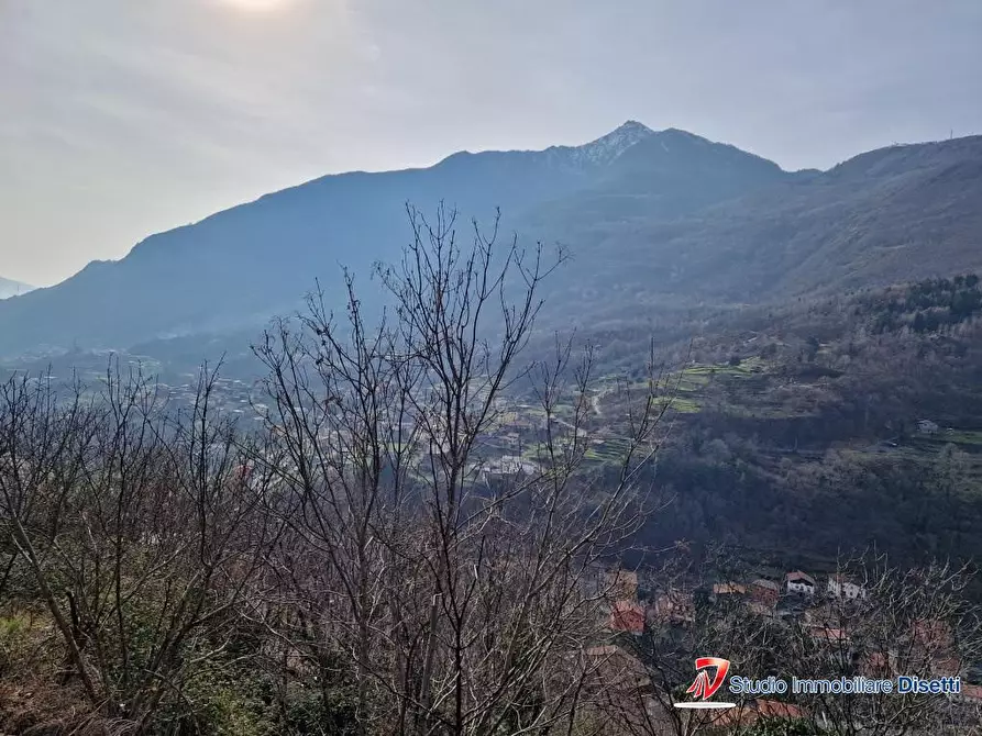 Immagine 3 di Terreno edificabile in vendita  a Cedegolo