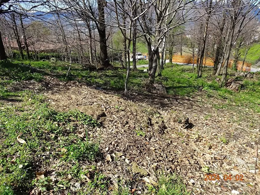 Immagine 6 di Terreno edificabile in vendita  a Ello